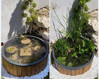 Set Mini Pond